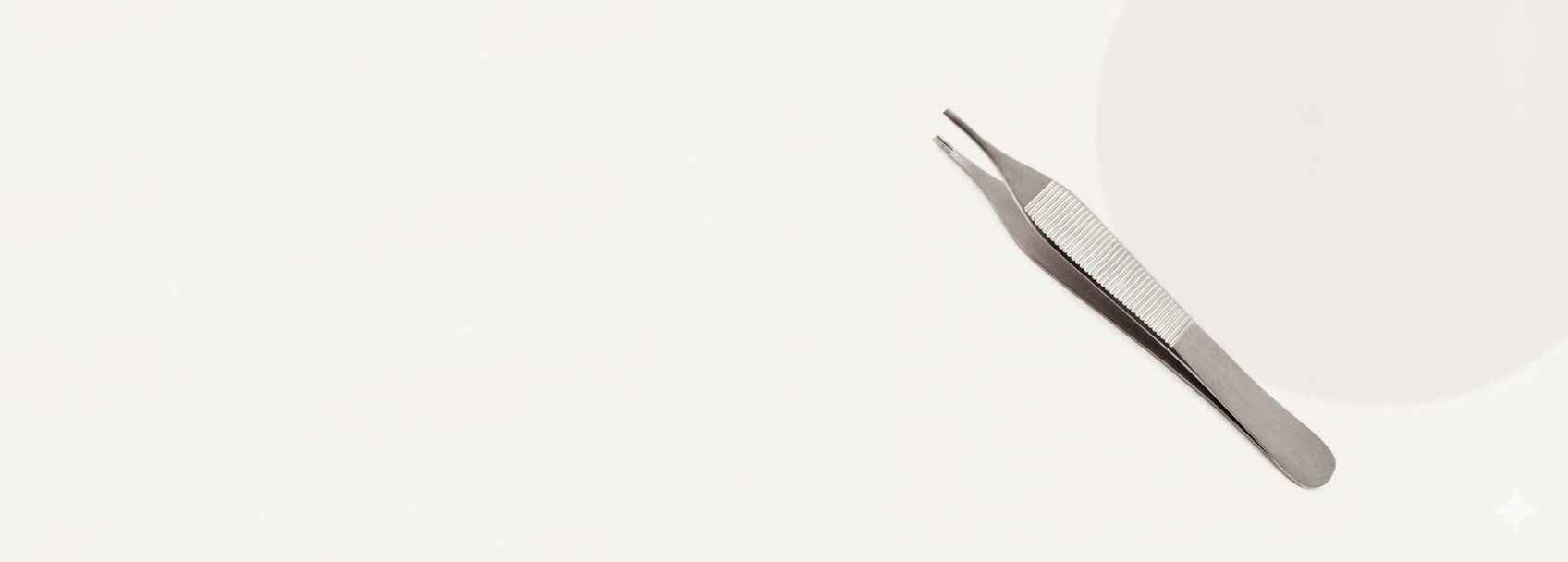 banner1